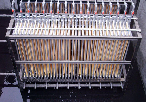 Ĥ���ﷴ��(y��ng)��Membrane bioreactor